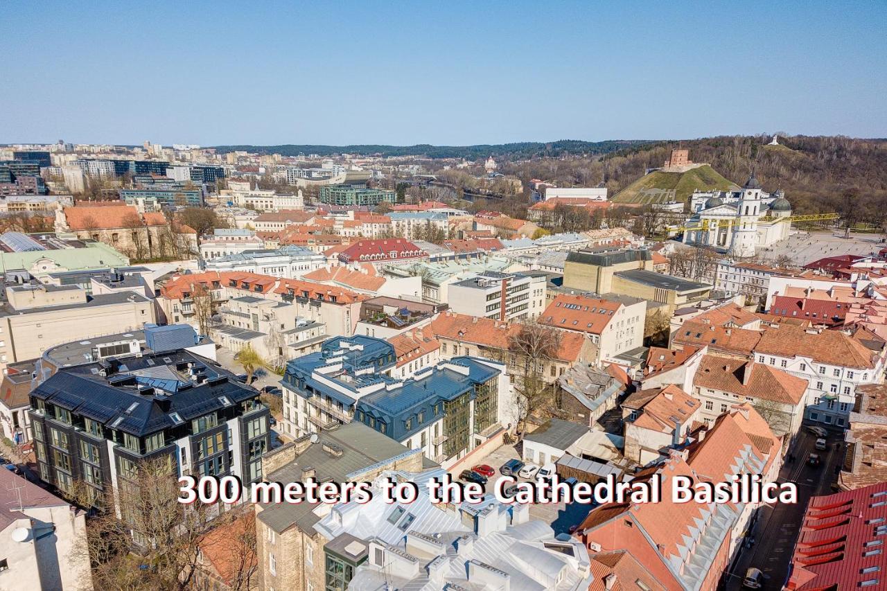 Happy Inn Vip, Self Check-In-24X7, A-C, Parking-In-The-Underground-Garage Vilna Exterior foto